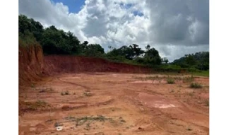 Imóvel 2694490 [''] - ['Granja São José - Rodovia João Gouveia da Silva, PE 071, Engenho Animoso'] [''] - ['Amaraji']/['PE'] - 1