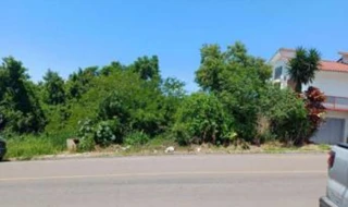 Imóvel 2524190 [''] - ['Camaquã/RS'] [''] - ['Camaquã']/['RS'] - 1