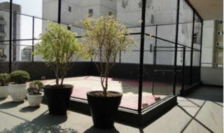 Imóvel 2580990 [''] - ['Rua Tiradentes, 567, Santa Helena'] ['Santa Helena'] - ['Juiz De Fora']/['MG'] - 1