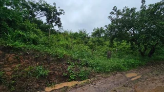 Imóvel 2401190 ['1444414252996'] - ['RUA E-5,N. S/N LT 11B, LOT RECANTO CARPINA - CEP: 55820-000, LAGOA DO CARRO - PERNAMBUCO'] [''] - ['Lagoa Do Carro']/['PE'] - 1