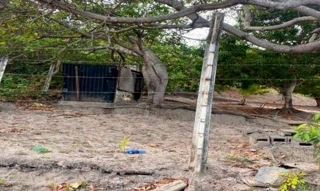 Imóvel 2596690 [''] - ['Nao informado Nao informado'] [''] - ['Conde']/['PB'] - 1