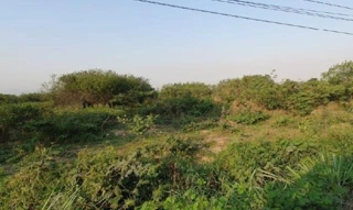 Imóvel 2605690 [''] - ['Estrada do Amapá, Amapá, Duque de Caxias, RJ'] ['Parque Barao do Amapa'] - ['Duque De Caxias']/['RJ'] - 1