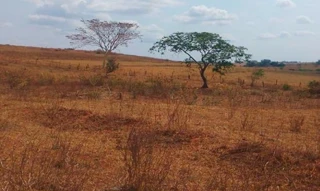 Imóvel 2608390 [''] - ['Nao informado Nao informado Situado no lugar denominado Sitio Bom Jesus'] [''] - ['Flora Rica']/['SP'] - 1