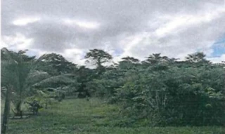 Imóvel 2906290 [''] - ['Rodovia AM-A10, parte do Lote 208 da Estrada Torquato Tapajós, área urbana, parte essa localizada na Rua 09, Lotes 113 e 114, bairro do Jacarezinho'] [''] - ['Itacoatiara']/['AM'] - 1