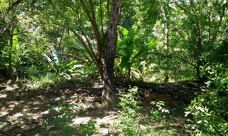 Imóvel 2612390 [''] - ['RUA MENINO MARCELO, 100, SERRARIA'] ['Serraria'] - ['Maceió']/['AL'] - 1