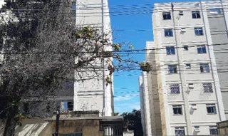 Imóvel 3065091 ['8555534630084'] - ['RUA BEETHOVEN,N. 450 APTO. 303 BL C, CHACARAS CALIFORNIA - CEP: 32042-560, CONTAGEM - MINAS GERAIS'] ['Chácaras Califórnia'] - ['Contagem']/['MG'] - 1