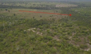 Imóvel 2690591 [''] - ['Rodovia MA-226, Km 25, S/N - Zona Rural - Lajeado Novo / MA'] [''] - ['Lajeado Novo']/['MA'] - 1