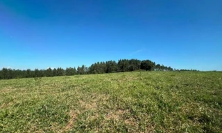 Imóvel 2998891 [''] - ['Fazenda São Domingos, s/n, Zona Rural, Luz, MG, 35595-000, Fazenda São Domingos, Luz, MG, 35595-000'] [''] - ['Luz']/['MG'] - 1