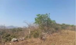 Imóvel 2897691 [''] - ['Fazenda BOM SUCESSO'] [''] - ['Niquelândia']/['GO'] - 1