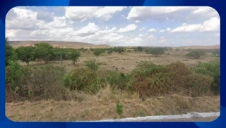 Imóvel 2617291 [''] - ['04 Lotes - nº. 48, 49, 50 da quadra D do loteamento Quintais da Cortegada'] [''] - ['Araripina']/['PE'] - 1