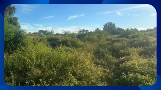 Imóvel 2622291 [''] - [', SN - Centro'] ['Centro'] - ['Governador Valadares']/['MG'] - 1