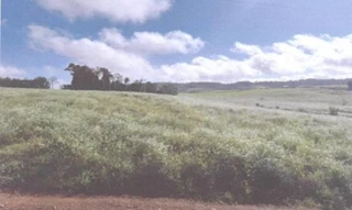 Imóvel 2973391 [''] - ['LINHA BOM RETIRO, SN, INTERIOR, TIRADENTES DO SUL'] [''] - ['Tiradentes Do Sul']/['RS'] - 1