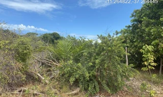 Imóvel 2275491 ['IDR184667'] - ["Rodovia Camilo Calazans de Magalhães (Estrada do Abais), s/n, Quadra 68, Lote 09, Loteamento Vila Rica do Abais, Itaporanga D'ajuda, SE, 49120-000"] [''] - ["Itaporanga D'Ajuda"]/['SE'] - 1