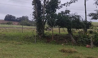 Imóvel 2603991 [''] - ['Nao informado Nao informado'] [''] - ['Engenho Velho']/['RS'] - 1