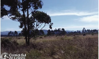 Imóvel 2578191 [''] - ['Loteamento Parque Talismã, Bairro Nova Brasília'] ['Nova Brasília'] - ['Imbituba']/['SC'] - 1