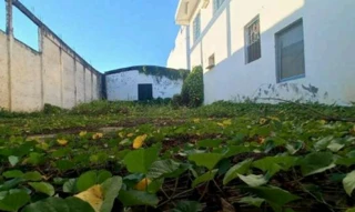 Imóvel 2478092 [''] - ['Rua José de Castro, 65 - Cidade Nova - Itaperuna / RJ'] [''] - ['Itaperuna']/['RJ'] - 1