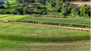 Imóvel 2587992 [''] - ['Lote Rural nº 11, Gleba nº 96-FB, Núcleo Francisco Beltrão, Colônia Missões, Município de Nova Prata do Iguaçu/PR, Comarca de Salto do Lontra/PR'] [''] - ['Salto Do Lontra']/['PR'] - 1