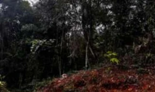 Imóvel 2593692 [''] - ['Condomínio Vila Castela, lote 52 - Vila Castela Nova Lima - MG'] ['Vila Castela'] - ['Nova Lima']/['MG'] - 1