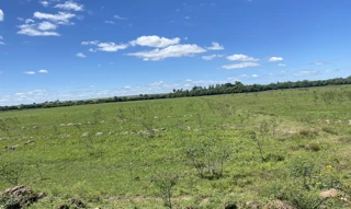 Imóvel 2511892 [''] - ['distrito de Barro Vermelho, lugar denominado Dorasnal'] ['Dorasnau'] - ['Cachoeira Do Sul']/['RS'] - 1