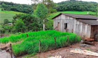 Imóvel 3039392 [''] - ['Parte de lote rural n° 03 com área superficial de 121.000m², situado no lugar denominado na Gleba VI da Fazenda Primavera'] [''] - ['Saltinho']/['SC'] - 1