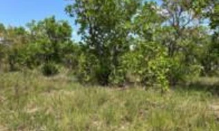 Imóvel 2560692 [''] - ['Loteamento Residencial Nova Esperança, lote 16, quadra 45'] ['Jardim Industriario'] - ['Cuiabá']/['MT'] - 1