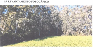 Imóvel 2977092 [''] - ['Linha Paraíso/'] [''] - ['Arabutã']/['SC'] - 1