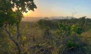 Imóvel 2703592 [''] - ['Povoado Tapera da Serra'] [''] - ['Campo do Brito']/['SE'] - 1