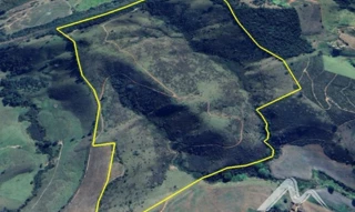 Imóvel 2509392 [''] - ['Pasto Peitudo - Fazenda Santa Maria, s/n - Zona Rural Conceição do Rio Verde - MG'] [''] - ['Conceição Do Rio Verde']/['MG'] - 1