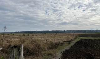 Imóvel 2905492 [''] - ['Terreno rural, com a área de 49.283,30 m², ou seja, 02 (dois) alqueiras, 01 (um) litro e 278,30 m², sito no lugar POTINGA, deste município, com as seguintes confrontações e distâncias: ao norte, confronta por linha seca do ponto 02 ao ponto 03 com terras de Carmen Elizabeth de Oliveira por uma extensão de 1.328,00 metros; ao sul, confronta por linha seca do 0=PP ao ponto 01 com terras de Antônio Carlos Franco de Andrade, com uma extensa de 1.305,00 metros; a lesto, confro