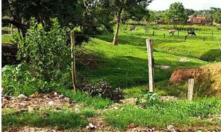 Imóvel 2906292 [''] - ['Km 1 da GO - 156, Palmeiras de Goiás'] [''] - ['Palmeiras De Goiás']/['GO'] - 1