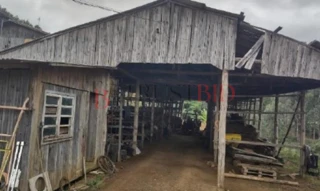 Imóvel 2571493 [''] - ['Zona Rural, S/Nº - Rio Doce - Lebon Régis - SC'] [''] - ['Lebon Régis']/['SC'] - 1