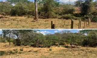 Imóvel 2928693 [''] - ['Fazenda Boa Vista do Fundão, Lagoinha, Taperão e Água Limpa'] [''] - ['Petrolina De Goiás']/['GO'] - 1