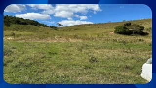 Imóvel 2634393 [''] - ['R. Guamiranga, 1630 - Vila Independencia'] [''] - ['Santa Rosa De Viterbo']/['SP'] - 1