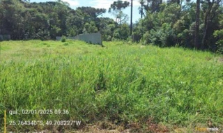 Imóvel 2546193 [''] - ['Rua Hugo Simas, 129 - Bairro Baixo da Lapa'] ['Baixo da Lapa'] - ['Lapa']/['PR'] - 1