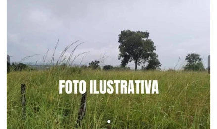 Imóvel rural em Palmeiras de Goiás, , Fazenda COELHO, GO. Área: 359045m2