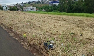 Imóvel 2984293 [''] - ['Rua D, GLEBA JACUTINGA, Município e Comarca'] ['Gleba Jacutinga'] - ['Londrina']/['PR'] - 1