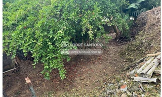 Imóvel 2661393 [''] - ['RUA JOÃO GUILHERME, Nº 138,'] ['Nova Guará'] - ['Guaratinguetá']/['SP'] - 1