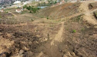 Imóvel 2959893 [''] - ['Rua Projetada 4, Timbaúba, PE'] [''] - ['Timbaúba']/['PE'] - 1