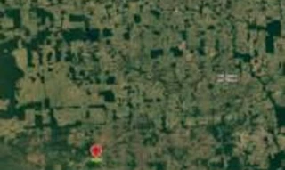 Imóvel 2649493 [''] - ['linha 148, km 65, lote 25, gleba 08, Gleba Rio Branco, Setor Terebito III, Projeto Fundiário Corumbiara'] [''] - ["Alta Floresta D'Oeste"]/['RO'] - 1