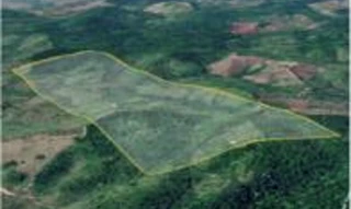 Imóvel 2709893 [''] - ['Gleba Auzilândia, Alto Alegre do Pindaré'] [''] - ['Alto Alegre Do Pindaré']/['MA'] - 1