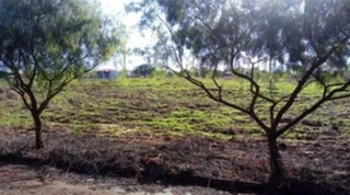 Imóvel 3042993 [''] - ['Rua Jovino Rossi, 247, lote 18, quadra 15'] [''] - ['Terra Roxa']/['PR'] - 1