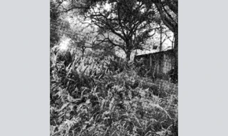 Imóvel 2964793 [''] - ['Estrada Das Figueiras, sn (Lote 55 da Quadra 19)'] ['Chácaras Rio-Petrópolis'] - ['Duque De Caxias']/['RJ'] - 1