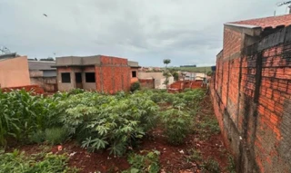 Imóvel 2972093 [''] - ['Rua Ponta Grossa, s/n - Lote 33, Quadra 12 - Residencial Terra Bonita - Setor 3 - Ibiporã / PR'] [''] - ['Ibiporã']/['PR'] - 1
