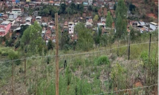 Imóvel 2927493 [''] - ['Rua José Pereira Lelles, s/n - Lote 187 - Serra Verde - São Miguel do Anta / MG'] [''] - ['São Miguel do Anta']/['MG'] - 1