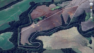 Imóvel 2604094 [''] - ['Estrada Itaberá Itaporanga Km 11 Entrada a Direita, Itaberá, SP'] [''] - ['Itaberá']/['SP'] - 1