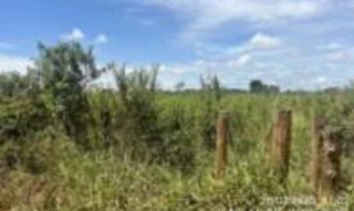 Imóvel 2875994 [''] - ['Chácara 06-R, quadra 01, do Setor 84'] [''] - ['Vilhena']/['RO'] - 1