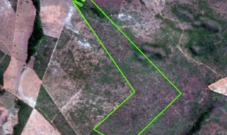 Imóvel 2630094 ['IDR186752'] - ['Rodovia MA-226, Km 25, S/N, Zona Rural de Lajeado Novo/MA, Lajeado Novo, MA, 65937-000'] [''] - ['Lajeado Novo']/['MA'] - 1