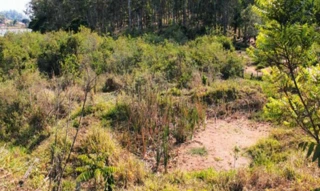 Imóvel 2699794 [''] - ['Br 491, s/nº - Sítio Cachoeira - Zona Rural - Monte Belo / MG'] [''] - ['Monte Belo']/['MG'] - 1