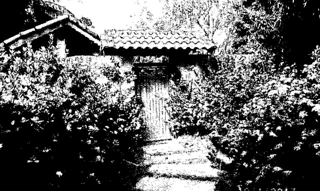 Imóvel 2987094 [''] - ['Avenida Prefeito Antonio Alcino Vidotti, Centro'] [''] - ['Suzanápolis']/['SP'] - 1