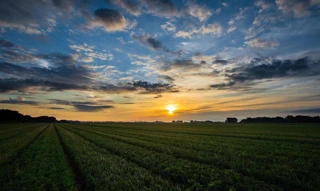 Imóvel 2581094 [''] - ['Rod. Br-235 - Ate 99998 - Lado Par - Lado Par, SN Sobrado'] [''] - ['Nossa Senhora Do Socorro']/['SE'] - 1